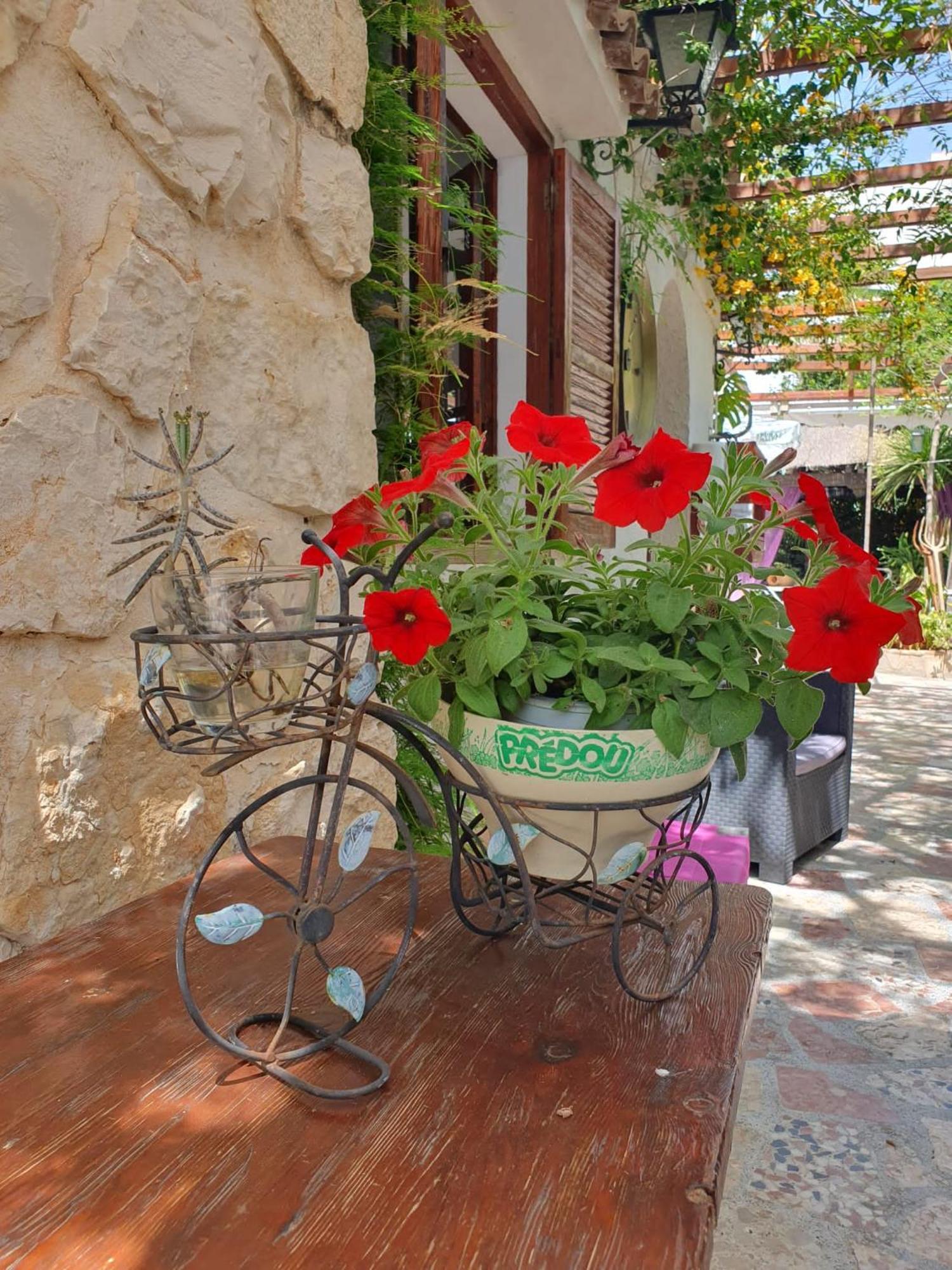 Hostal Mi Campana Denia Kültér fotó