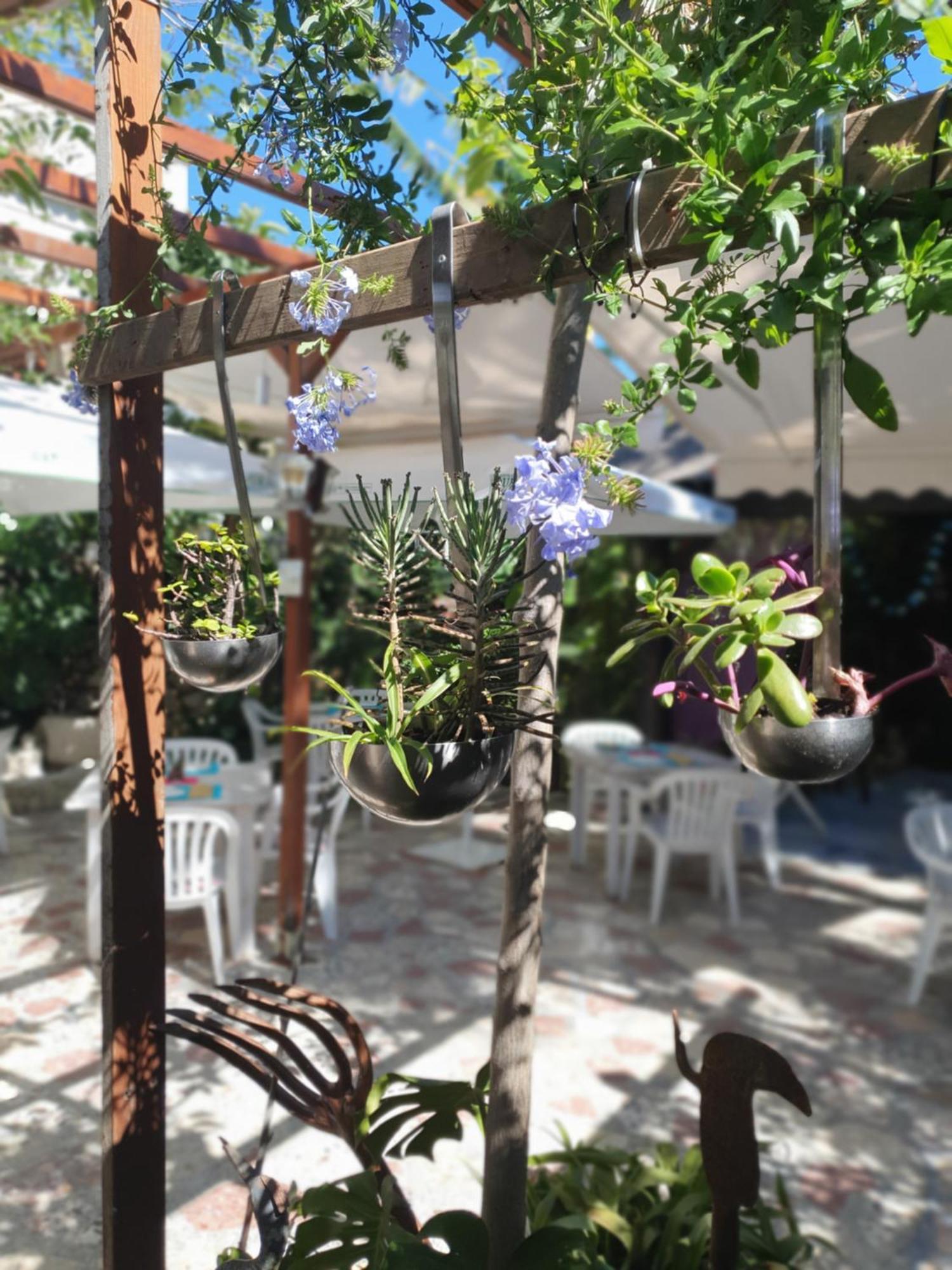 Hostal Mi Campana Denia Kültér fotó